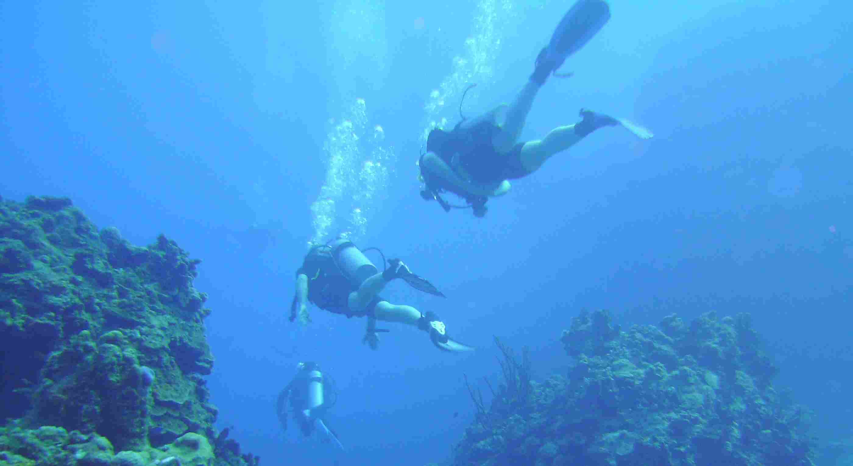 Palancar Caves Dive Site