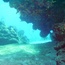 landscape_01.jpg