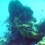 landscape_03.jpg