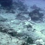 rays_01.jpg