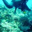 divers_07.jpg